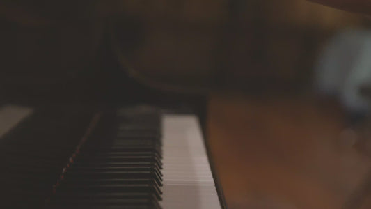 #1 Piano and Organ (Soundpure Studios) | Sample Pack by Elijah Fox